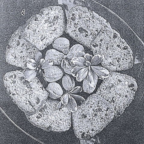 File:EFS ART.jpg