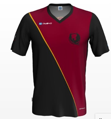 Archivo:Camiseta Phoenix Blazes Wikijugger.jpg
