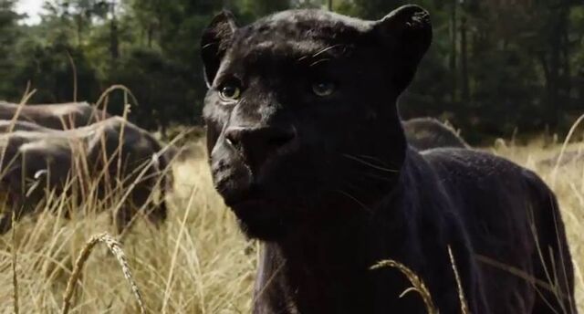 File:Bagheera (Disney 2016).jpg