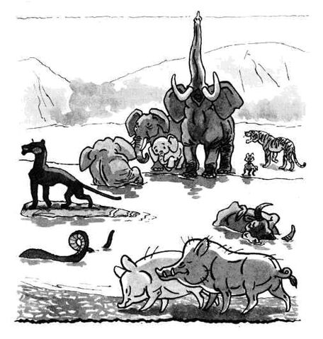 File:Maugli008 02.jpg