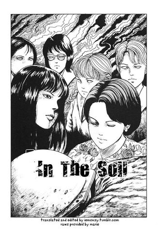 File:In the soil.jpg