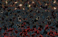 Thumbnail for version as of 15:50, October 7, 2011
