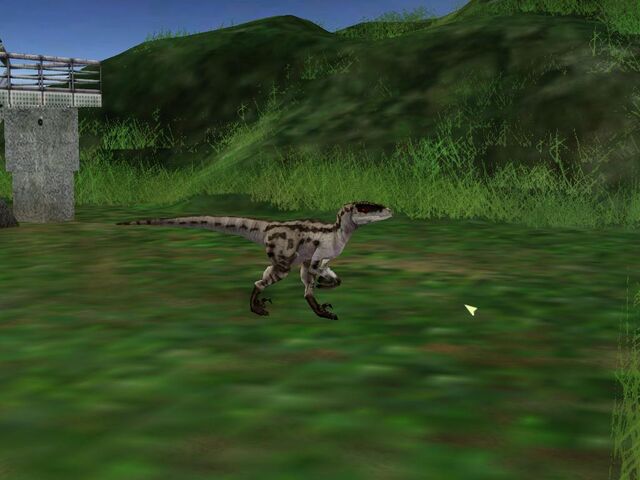 Archivo:Velociraptor-pra-foto.jpg