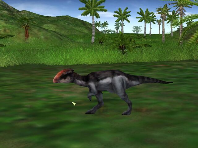 Archivo:Homalocephale.jpg