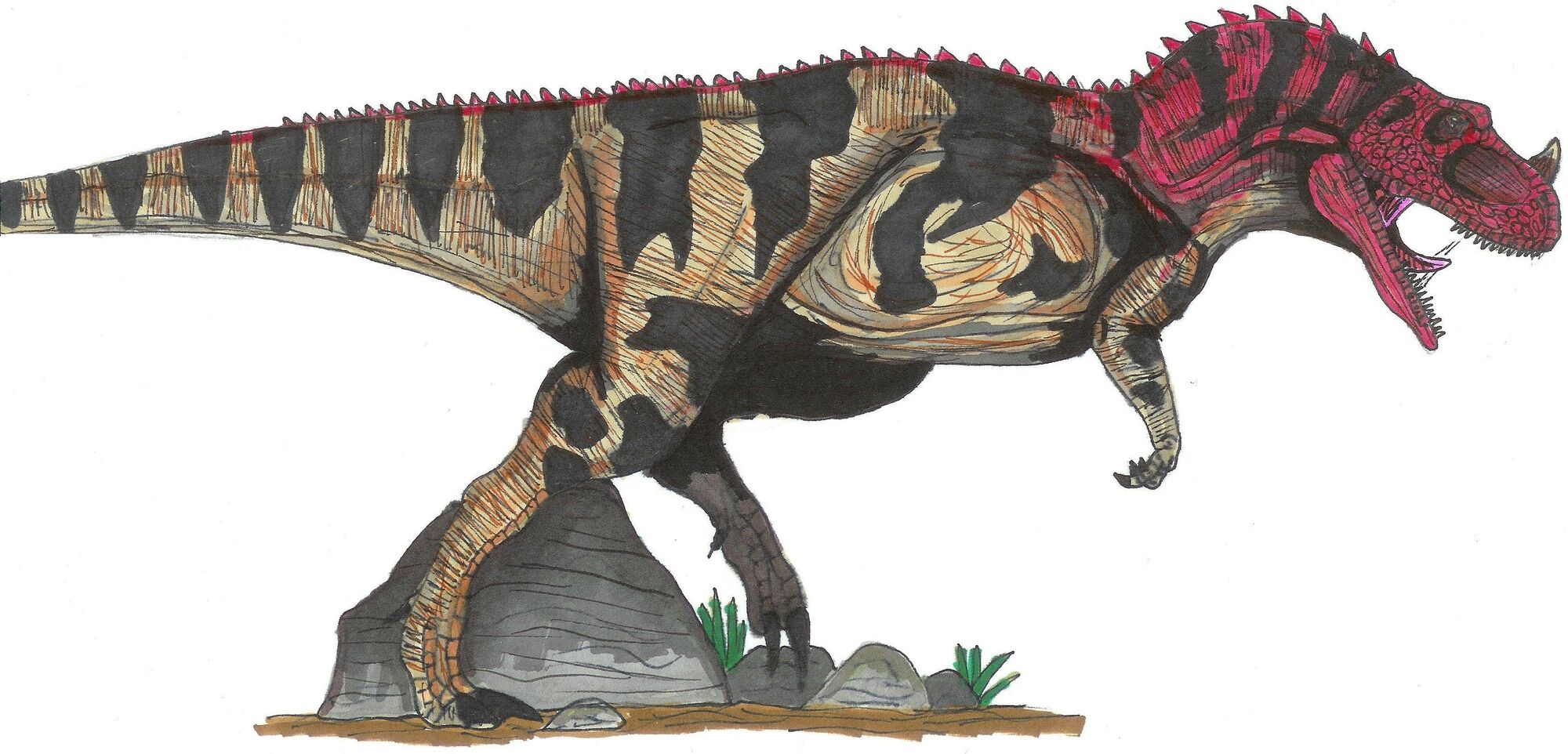 ceratosaurus and velociraptor