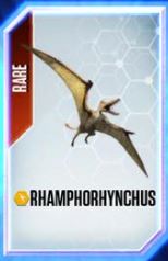Rhamphorhynchus-0