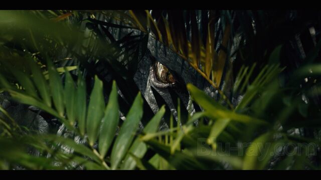 File:Indominus Rex (113).jpg