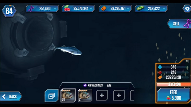 File:Sardine.png