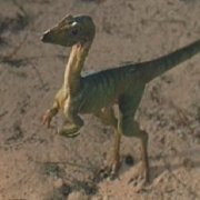 Jurassic Park 2 Little Dinosaurs Jurassic Park 2 Little Dinosaurs