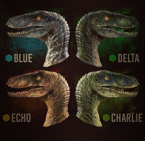 File:JW Raptor Mugs.jpg