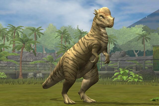 File:Pachy lvl 20.jpg