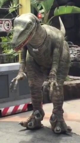 File:Raptor Tango.jpg