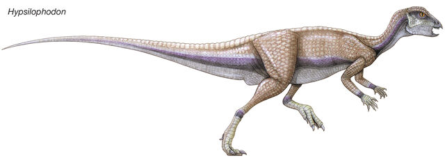 File:8063-050-5E678908.jpg