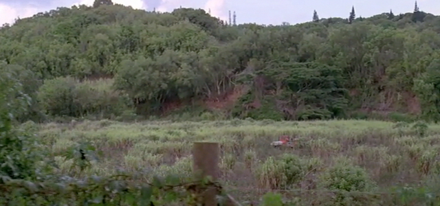 File:Triceratops Enclosure.png