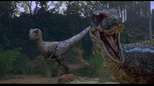 File:Deinonychus.jpg