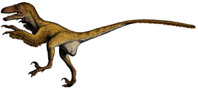 Deinonychus.jpg