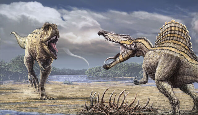 Файл:Spinosaurus-Alain-Beneteau.jpg