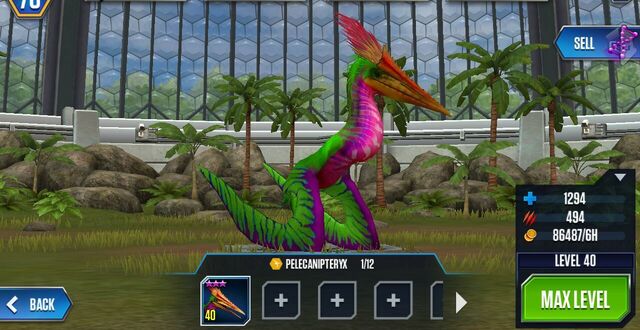 File:Pelecanipteryx (8).jpg