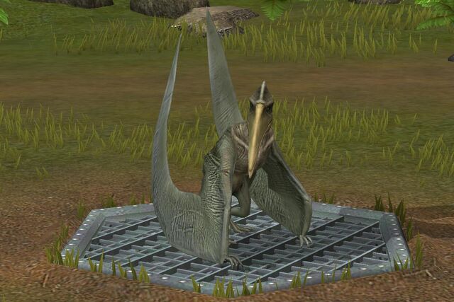 File:Pterodactylus (28).jpg