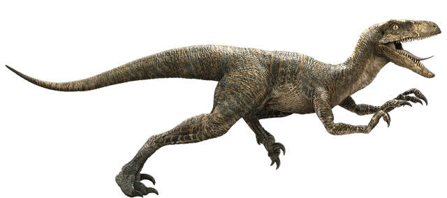 File:Velociraptor-detail-header.png