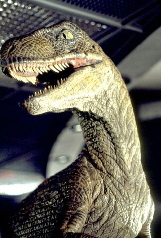 File:Jurassic-park-raptor.jpg