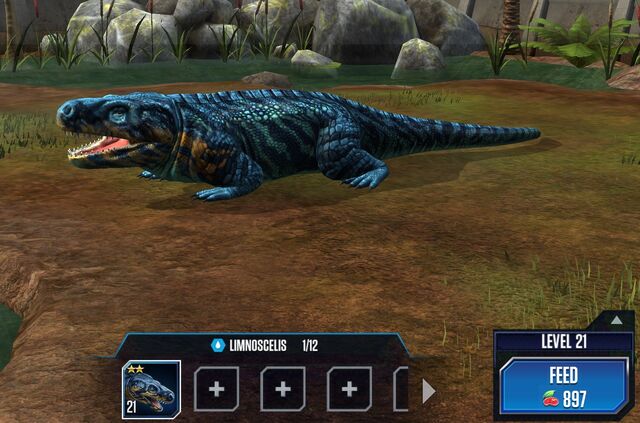 File:Limnoscelis S2.jpg