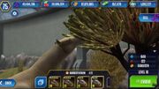 Indricfeed