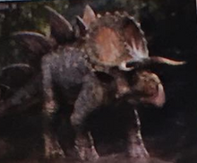 Stego.png