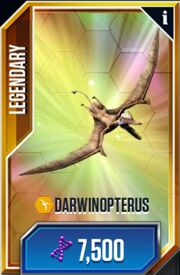 Darwinopterus 1