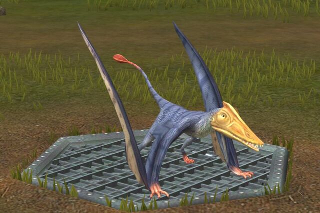 File:Scaphognathus (13).jpg