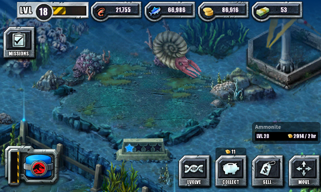 File:Ammonite 2nd evo.png