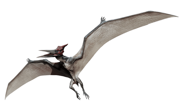 Datei:Pteranodon.png