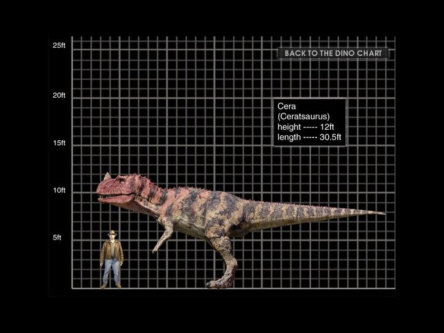File:Ceratosaurus-1-.jpg