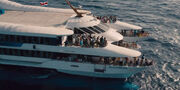JW boat trip