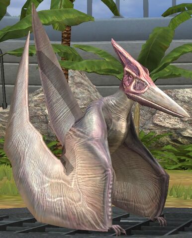 File:Pteranodon lvl 10.jpg