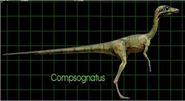 Compsognathus | Jurassic Park wiki | FANDOM powered by Wikia