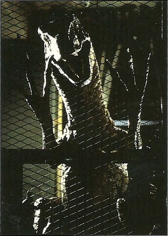 File:Scan Pic0003.jpg