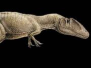 Charcharodontosaurus