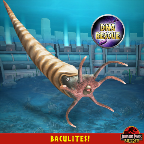 File:Baculites.png