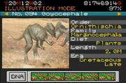 GoyocephaleParkbuilde