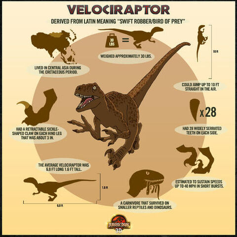 File:500x500 raptor poster.jpg