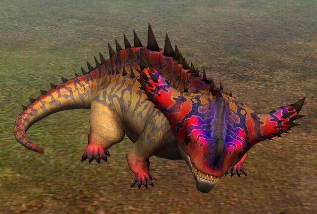 File:Diplotator (13).jpg