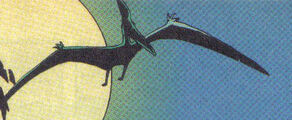 Pteranodonsternbergi123.jpg