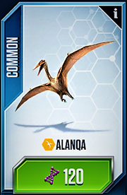 Alanqa Card