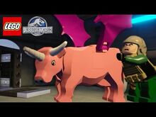 Vaca hibrida