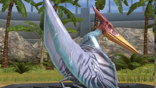 File:PteranodonJWTG.jpg