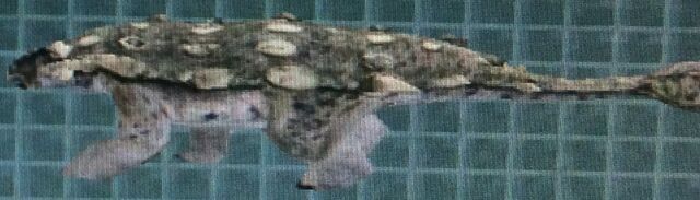 File:Crichtonsaurus (Forgotten).jpg