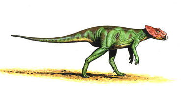 Microceratops.jpg