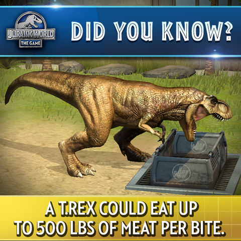 File:12249694 898666716907231 8337801184800243148 n.png
