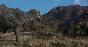 A Tyrannosaur family